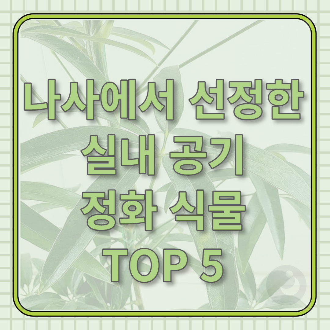나사에서 선정한 실내 공기 정화 식물 TOP 5 썸네일 이미지